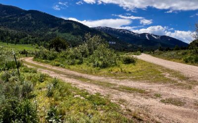 Walking Tour of 1 Pebble Creek Road